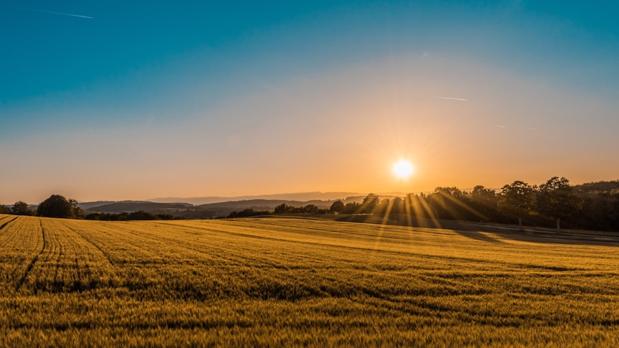 Agriculture